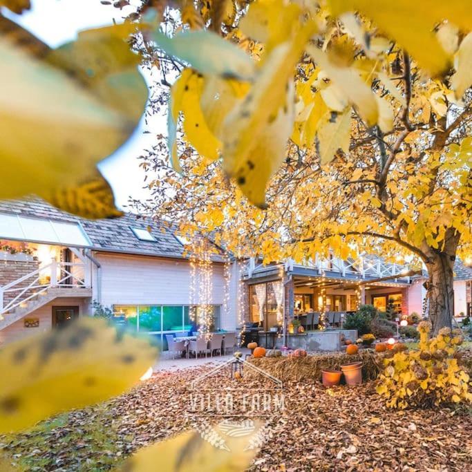 Teljes Villafarm - 23 Fo Reszere Ujireg Exteriér fotografie